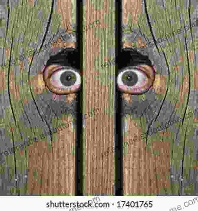 A Little Girl With Big Eyes Looks Out Through A Hole In A Fence Peepers Eve Bunting