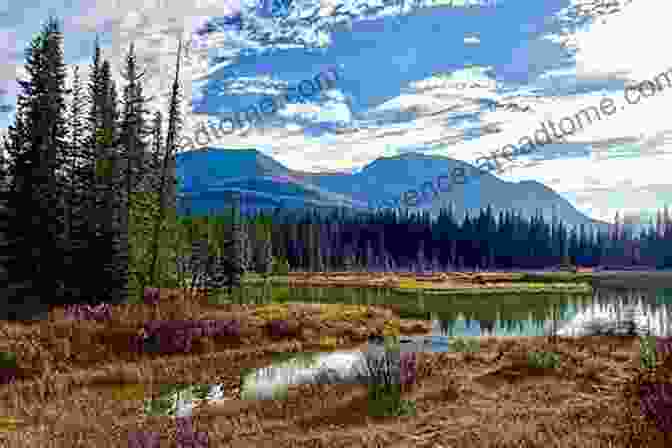 A Serene Lake With Lush Vegetation, Reflecting The Tranquil Sky Chemical Biomarkers In Aquatic Ecosystems