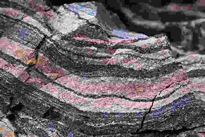 A Stunning Photograph Of A Metamorphic Rock Showcasing Its Intricate Mineral Structures And Textures Laboratory Geology: Manual 5 Metamorphic Petrology