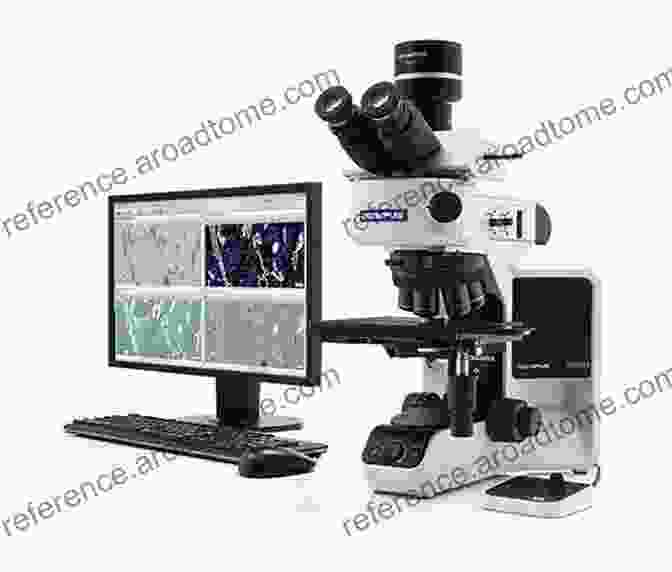 Advanced Microscopy Techniques For Studying Complement Dynamics Structural Biology Of The Complement System