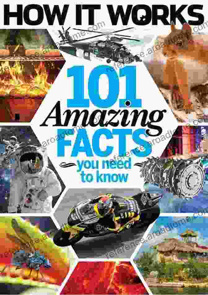 Amazing Facts You Don't Know Book Cover Amazing Facts You Don T Know: 1 100 Unbelievable Trivia Facts