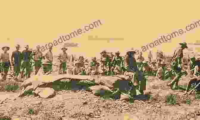 An Image Of Allied Troops Landing At Suvla Bay During The August Offensive Suvla: August Offensive (Battleground Gallipoli)