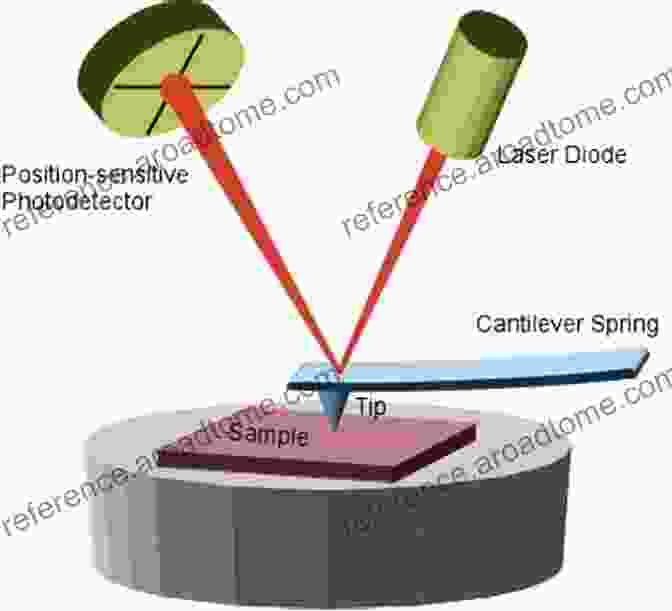 Atomic Force Microscope Imaging A Biological Sample Atomic Force Microscopy In Nanobiology