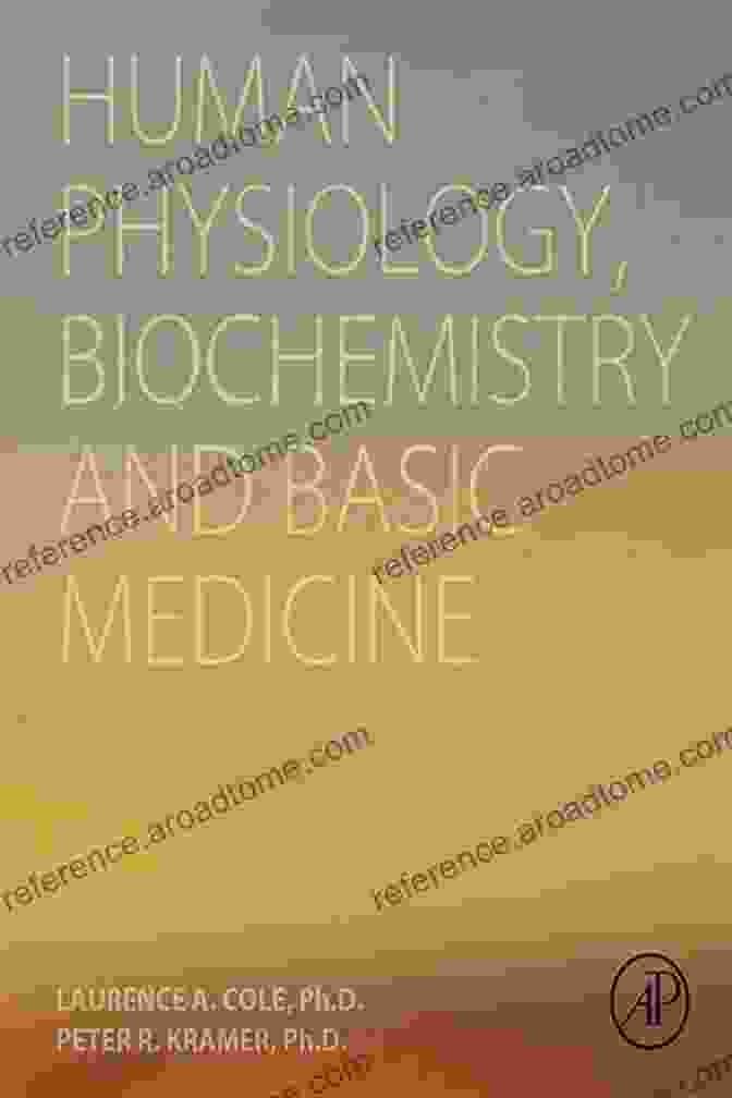 Basic Medicine Diagram Human Physiology Biochemistry And Basic Medicine