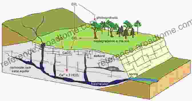 Conservation Efforts In A Young Karst System The Karst Systems Of Florida: Understanding Karst In A Geologically Young Terrain (Cave And Karst Systems Of The World)