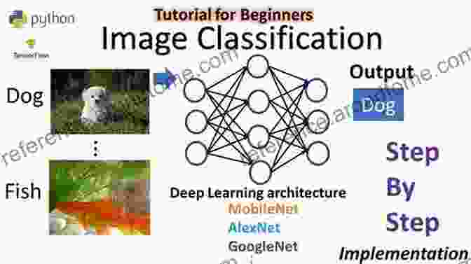 Deep Learning Classifiers For Image Classification Deep Learning Classifiers With Memristive Networks: Theory And Applications (Modeling And Optimization In Science And Technologies 14)