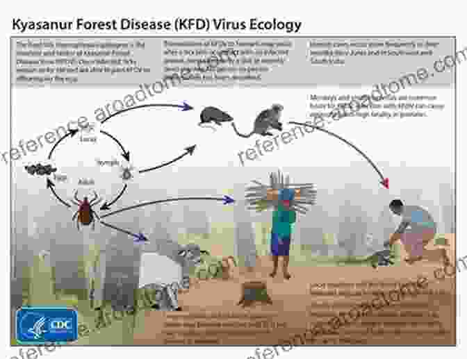 Deforestation And Its Contribution To Zoonotic Diseases Through Increased Human Wildlife Contact And Habitat Fragmentation Viral Infections And Global Change