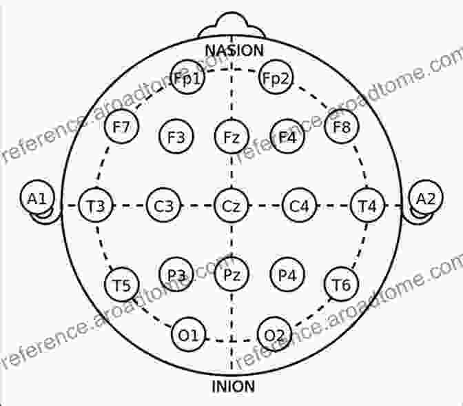 Diagram Of EEG Electrodes Placement EEG Methods For The Psychological Sciences
