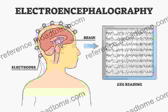 Diagram Of EEG Used In Cognitive Neuroscience EEG Methods For The Psychological Sciences