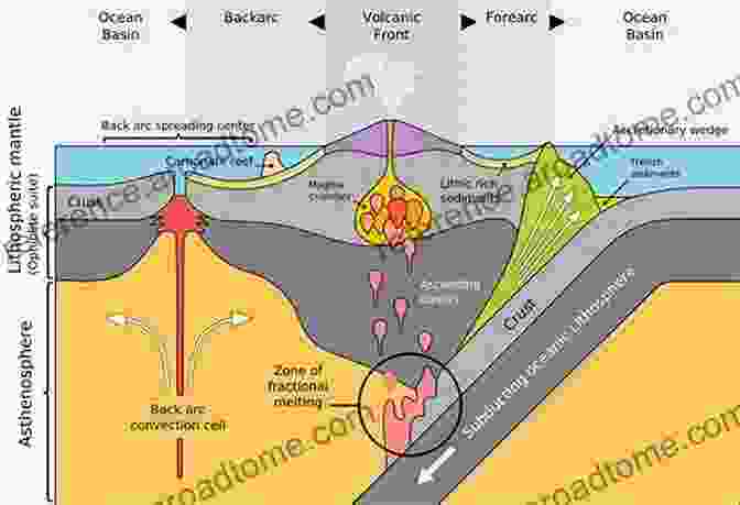 Diagram Of Sedimentation And Subsidence In A Tectonic Basin Three Dimensional Architecture And Paleoenvironments Of Osaka Bay: An Integrated Seismic Study On The Evolutionary Processes Of A Tectonic Basin (Advances In Geological Science)