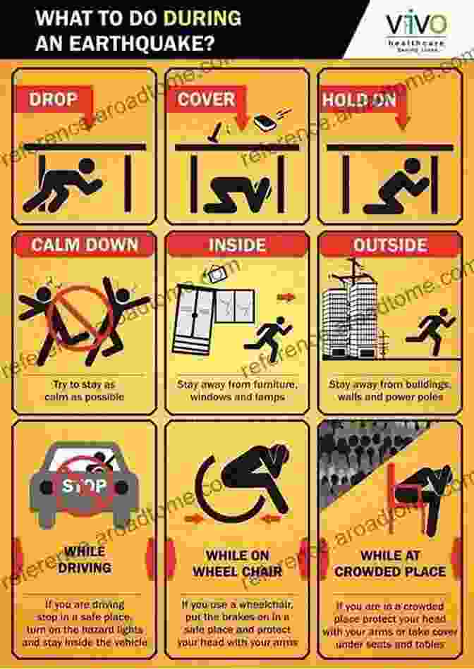 Earthquake Preparedness Drills Earthquakes And Their Impact On Society (Springer Natural Hazards)