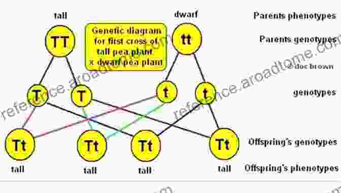 Genetic Diagram Of Issn 63 Ion Channel Diseases (ISSN 63)