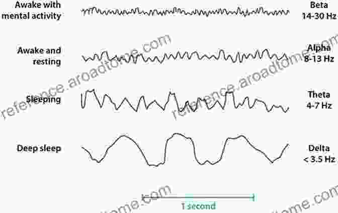 Graph Of Different EEG Waveforms EEG Methods For The Psychological Sciences