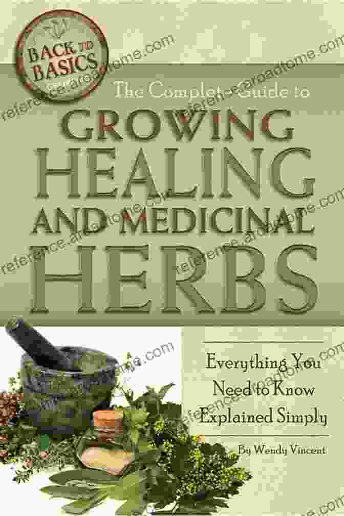 Herbal Remedies For Beginners: The Ultimate Guide To Natural Healing Herbal Remedies For Beginners: The Complete Collection Of The Best Natural Remedies Recipes For Any Common Ailment To Achieve Wonderful Health