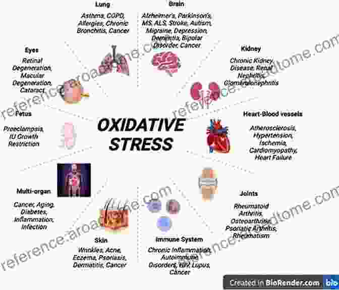 Hormesis In Health And Disease Oxidative Stress And Disease 34 Hormesis In Health And Disease (Oxidative Stress And Disease 34)