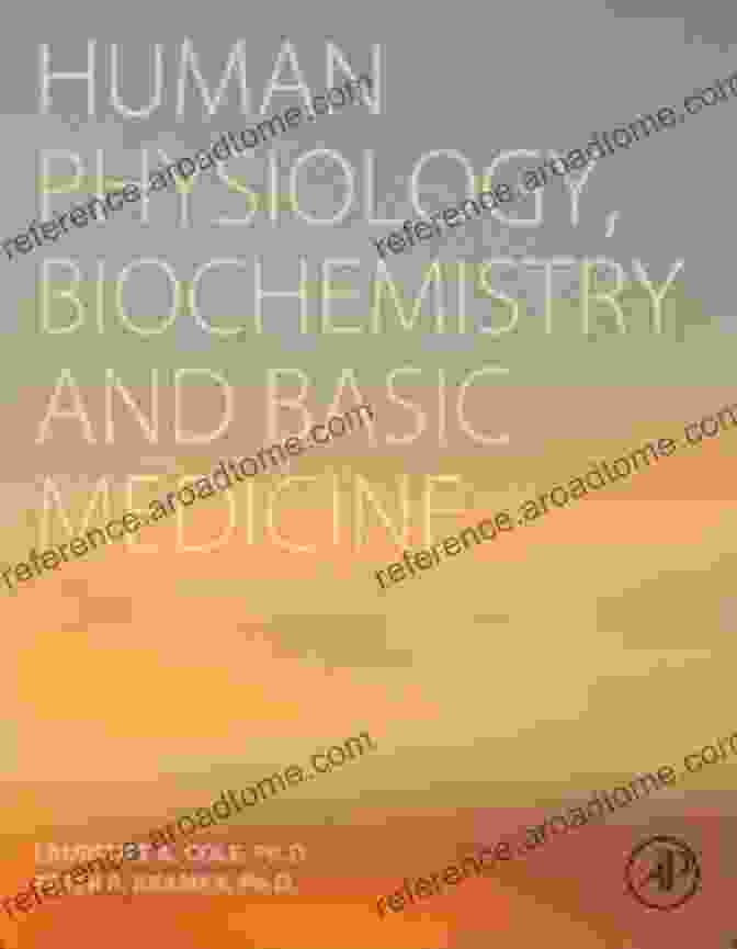 Human Physiology Diagram Human Physiology Biochemistry And Basic Medicine