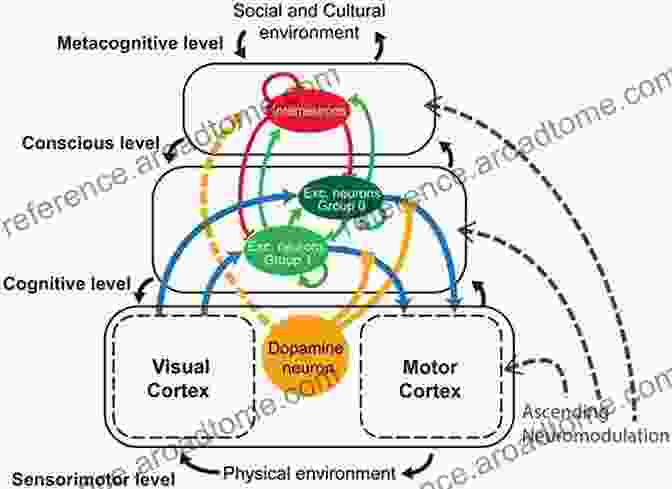 Illustration Of The Evolution Of Cognition, Depicting The Development Of Language, Problem Solving, And Memory The Social Insects: Their Origin And Evolution (Psychology Revivals)