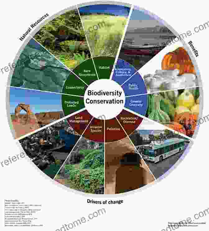 Image Of A Diverse Ecosystem Showcasing Interconnectedness One Health: People Animals And The Environment (ASM Books)