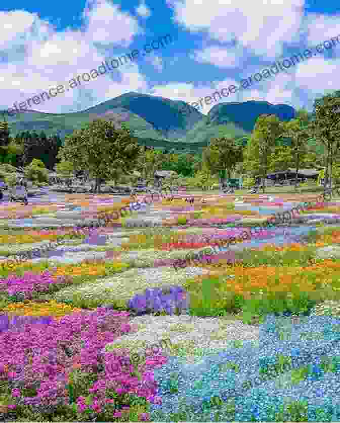 Image Of A Field Overflowing With Flowers, Representing Abundance Neale Donald Walsch On Abundance And Right Livelihood (Applications For Living)