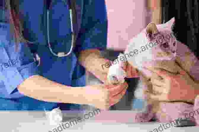 Image Of A Veterinarian Caring For A Sick Animal, Highlighting Ethical Considerations One Health: People Animals And The Environment (ASM Books)