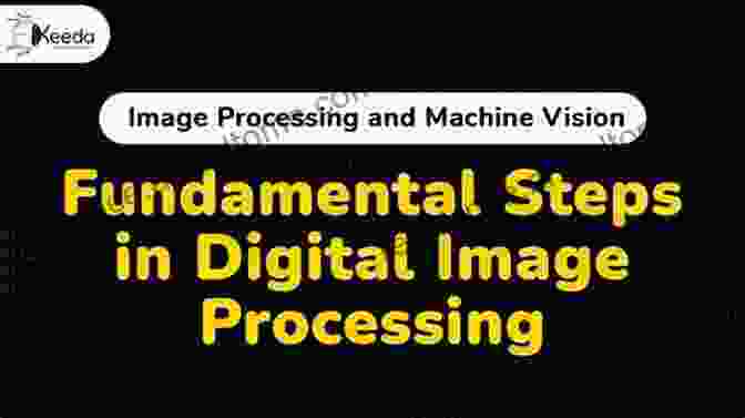 Image Processing Fundamentals Explained Image Processing And Capsule Networks: ICIPCN 2024 (Advances In Intelligent Systems And Computing 1200)