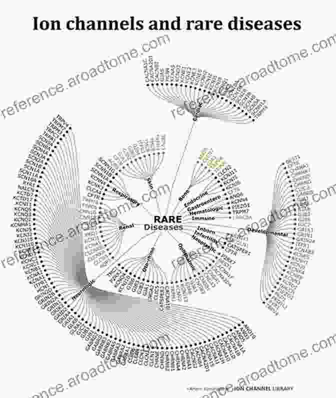 Ion Channel Rare Diseases Ion Channel Diseases (ISSN 63)