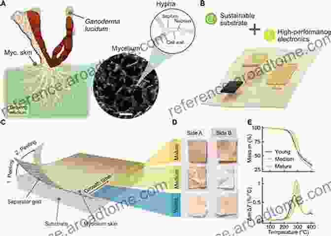 Large Scale Production Of Mycelium On Sterile Substrates, Highlighting The Dense Growth Of Fungal Hyphae Psilocybin Growing Bible: The Complete Psilocybin Mushroom Cultivation Guide Step By Step To Grow Indoor And Outdoor Your Magic Psychedelic Mushrooms With Safety Measure