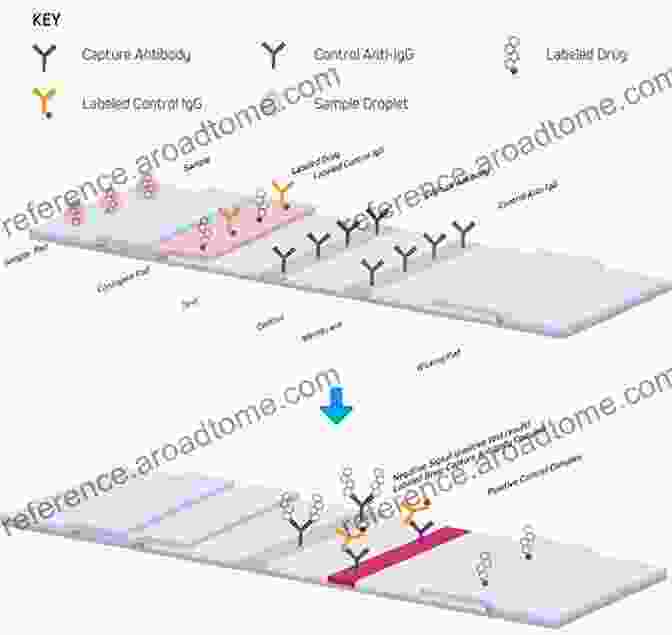 Lateral Flow Immunoassay Molecular Detection Of Foodborne Pathogens