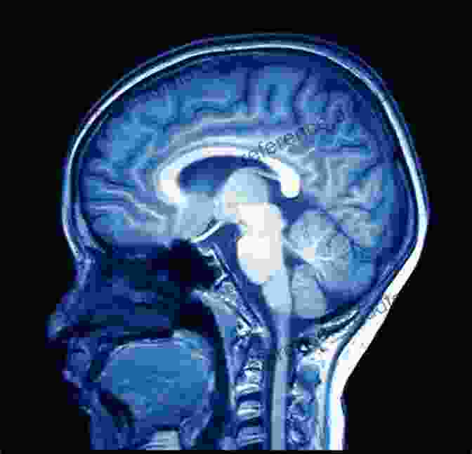 Magnetic Resonance Imaging (MRI) Scan Of The Brain Imaging For The Health Care Practitioner