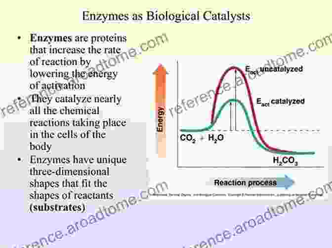 Marine Enzymes Catalyze Reactions That Support Diverse Marine Life. Marine Enzymes And Specialized Metabolism Part A (ISSN 604)