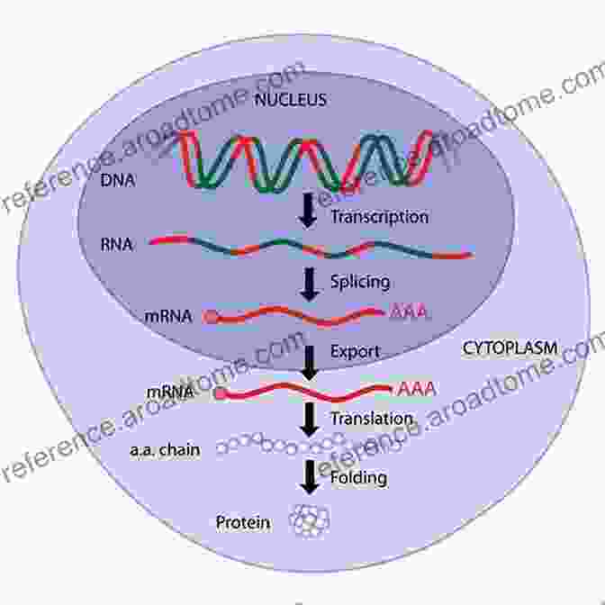 Network Principles In Biology: Gene Regulation And Epidemics Cognitive Neuroscience And Psychotherapy: Network Principles For A Unified Theory