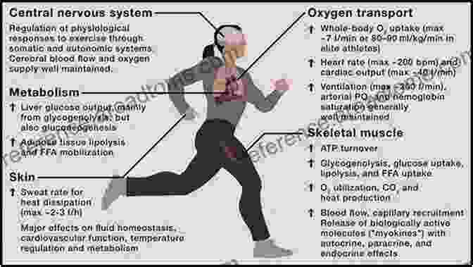 Physiological Responses To Exercise In Sports Handbook Of Sport Neuroscience And Psychophysiology