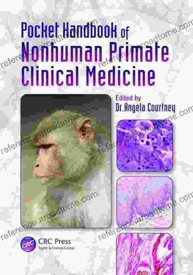 Pocket Handbook Of Nonhuman Primate Clinical Medicine Book Cover Featuring A Group Of Primates And Veterinarians Pocket Handbook Of Nonhuman Primate Clinical Medicine