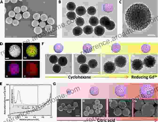 Rare Metal Nanoparticles For Drug Delivery Rare Metal Technology 2024 (The Minerals Metals Materials Series)