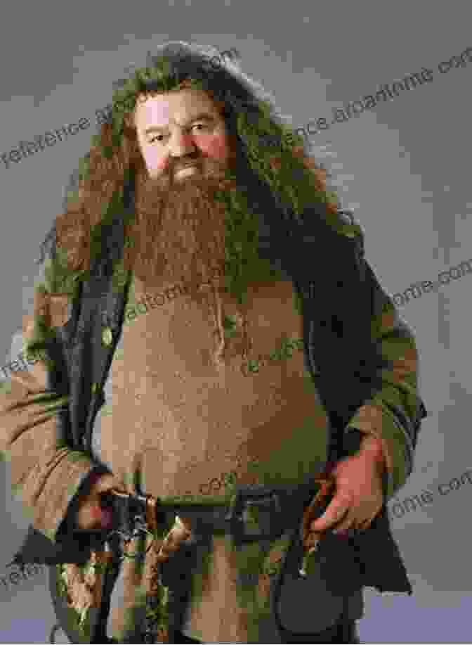 Rubeus Hagrid Standing In The Forbidden Forest Harry Potter And The Art Of Spying