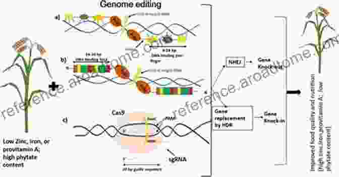 Schematic Representation Of Talens And ZFNs Genome Editing And Engineering: From TALENs ZFNs And CRISPRs To Molecular Surgery