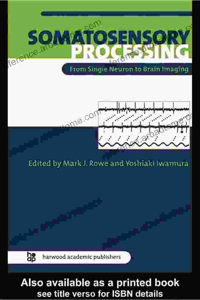 Somatosensory Processing From Single Neuron To Brain Imaging Somatosensory Processing: From Single Neuron To Brain Imaging