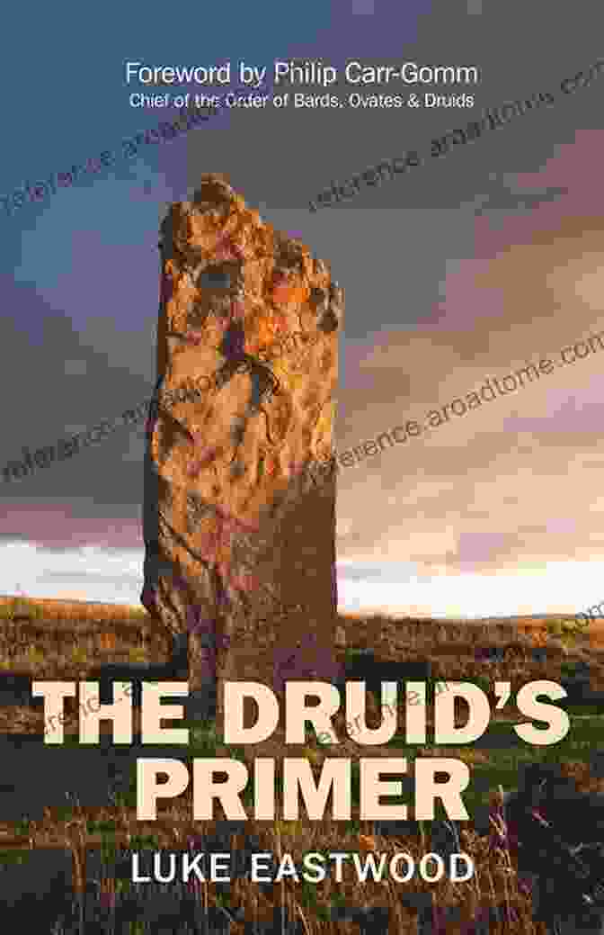 The Druid Primer Meiso Book Cover The Druid S Primer Meiso