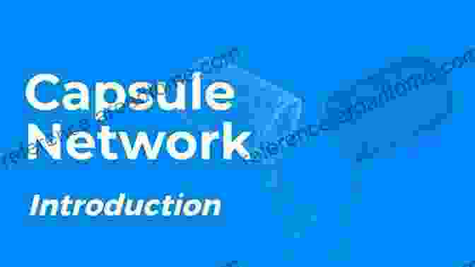 Unveiling The Power Of Capsule Networks For Image Processing Image Processing And Capsule Networks: ICIPCN 2024 (Advances In Intelligent Systems And Computing 1200)