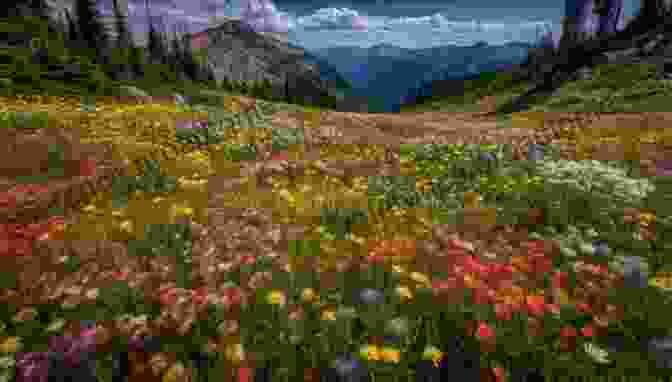 Vibrant Wildflowers Blooming In A Meadow In The Hindu Kush Himalaya, Showcasing The Region's Incredible Biodiversity The Hindu Kush Himalaya Assessment: Mountains Climate Change Sustainability And People