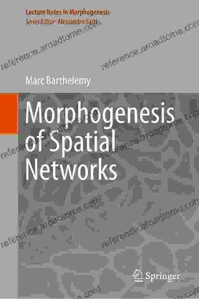 Virtual And Actual In Digital Production: Lecture Notes In Morphogenesis Labour Power: Virtual And Actual In Digital Production (Lecture Notes In Morphogenesis)