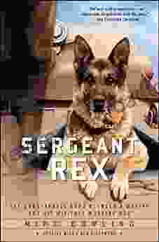 Sergeant Rex: The Unbreakable Bond Between A Marine And His Military Working Dog