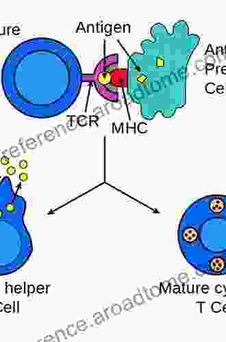 Antigen Presenting Cells And The Eye