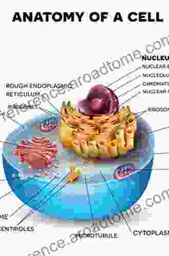 Biology Of T Cells Part B (ISSN 342)