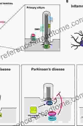 Cilia: Development And Disease