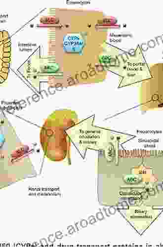 Drug Metabolizing Enzymes: Cytochrome P450 And Other Enzymes In Drug Discovery And Development