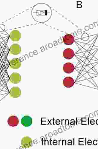 Deep Learning Classifiers With Memristive Networks: Theory And Applications (Modeling And Optimization In Science And Technologies 14)