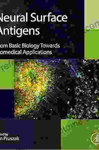 Neural Surface Antigens: From Basic Biology Towards Biomedical Applications