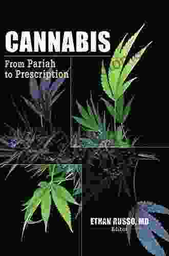 Cannabis: From Pariah To Prescription (Journal Of Cannabis Therapeutics Monogr)