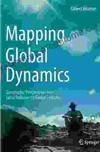 Mapping Global Dynamics: Geographic Perspectives from Local Pollution to Global Evolution (Environmental Pollution 28)